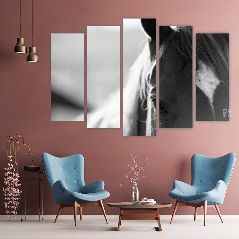 Horse macro photo – five-piece modular wall art