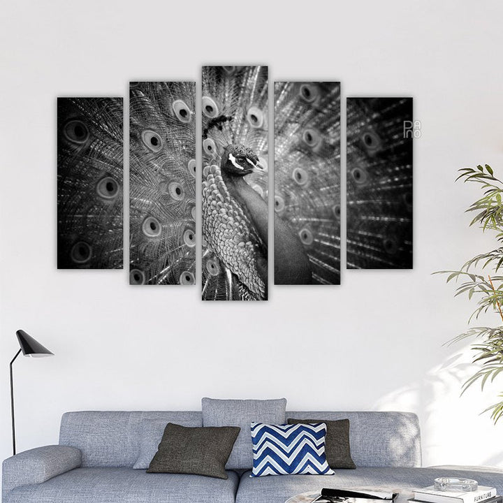 Black and white peacock – reference image 2