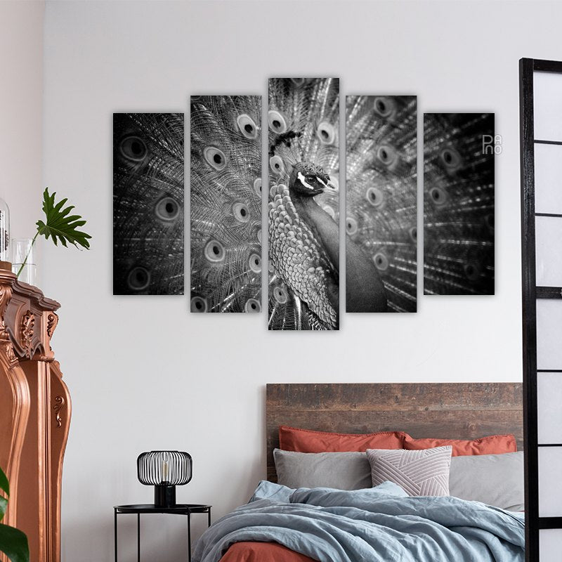 Black and white peacock – reference image 3