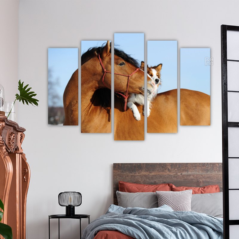 Horse and dog – reference image 3