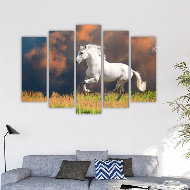 White Andalusian horse – reference image 2