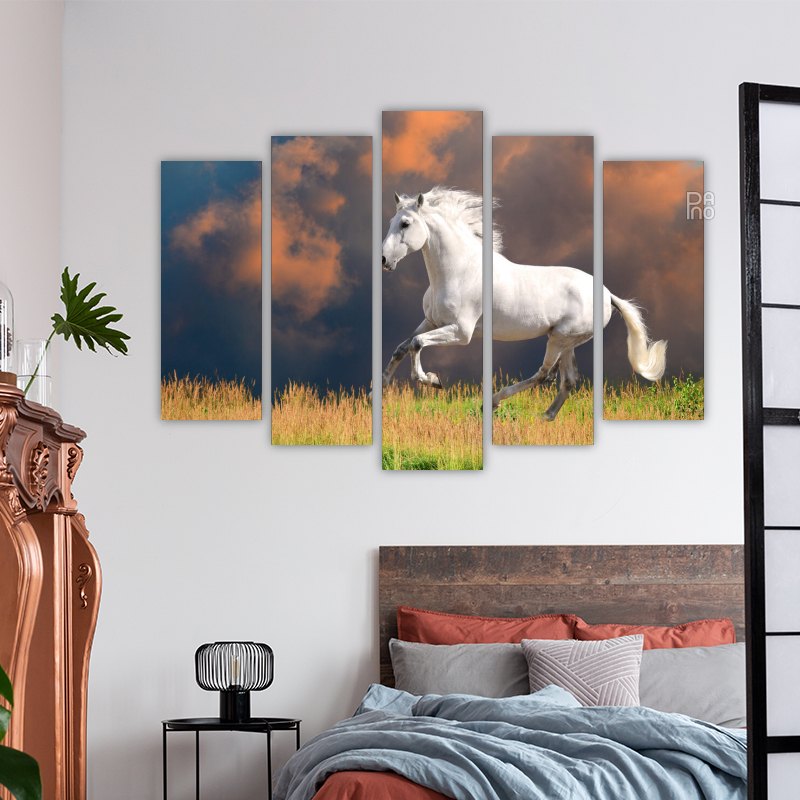 White Andalusian horse – reference image 3