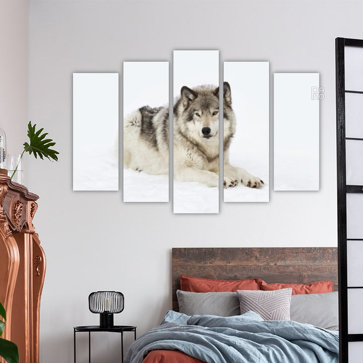 Wolf on snow – reference image 3