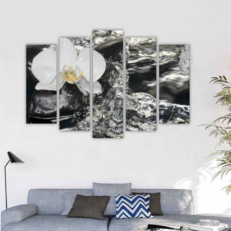 White Orchid and Stones – reference image 2