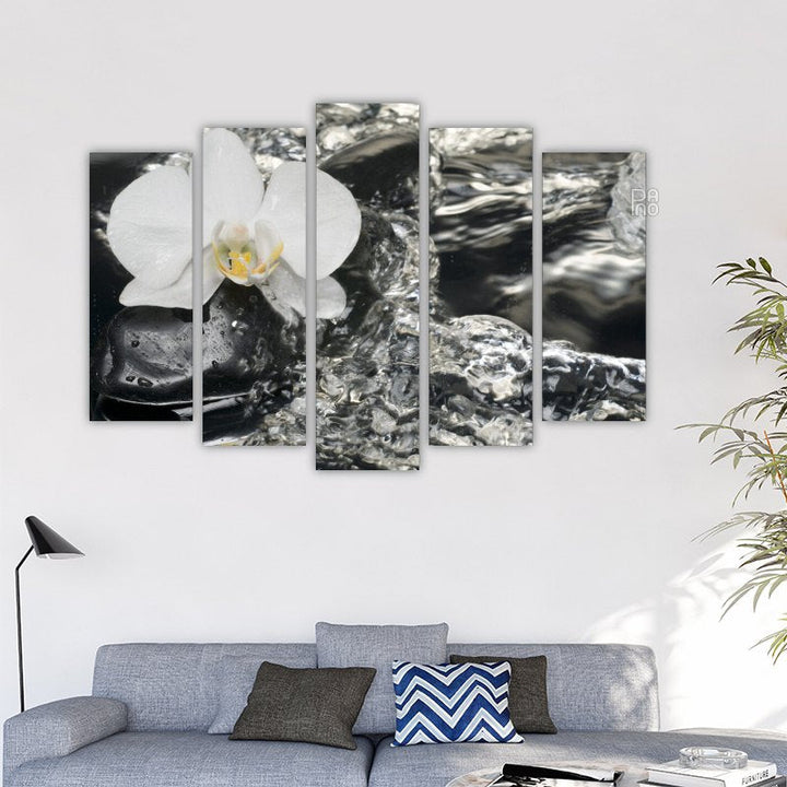 White Orchid and Stones – reference image 2