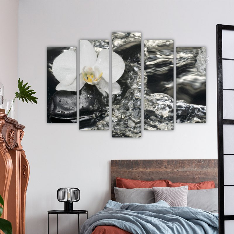 White Orchid and Stones – reference image 3