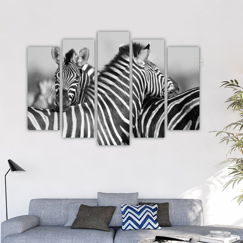 Herd of zebras in black and white photo – reference image 2
