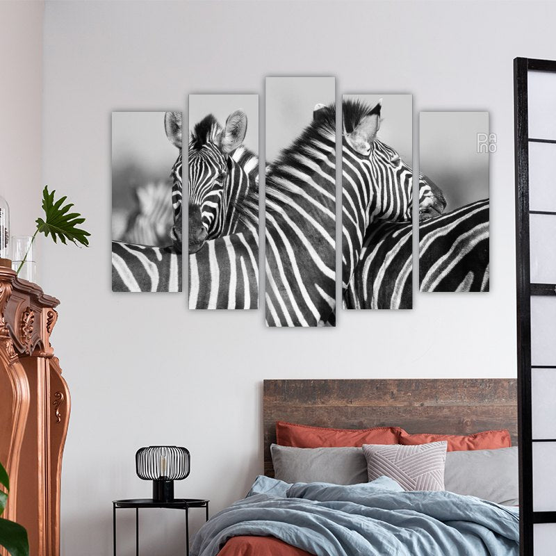 Herd of zebras in black and white photo – reference image 3
