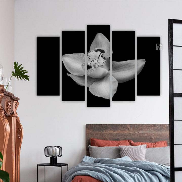 Beautiful orchid in black and white – reference image 3