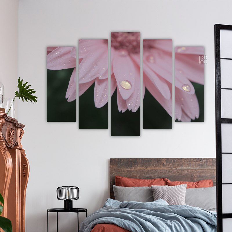 Delicate pink petals – reference image 3