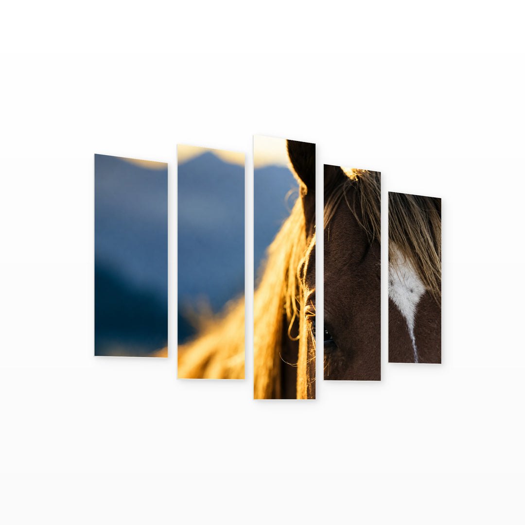 Horse Macro Photo in Blue and Gold — five-panel wall art on white background in perspective | 5wallart 51986 M1