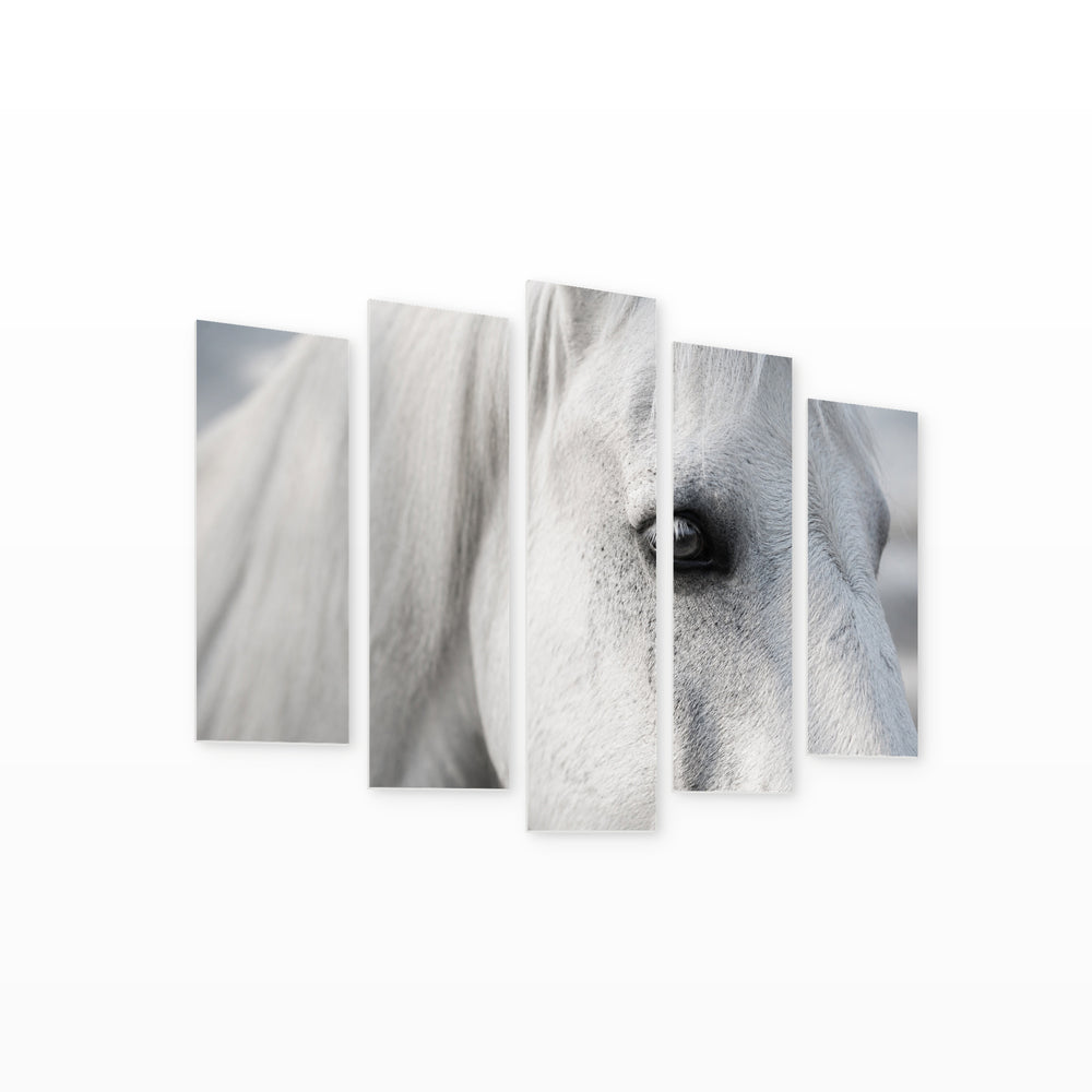 Macro Photo of White Horse with Dreamlike Atmosphere — five-panel wall art on white background in perspective | 5wallart 51987 M1