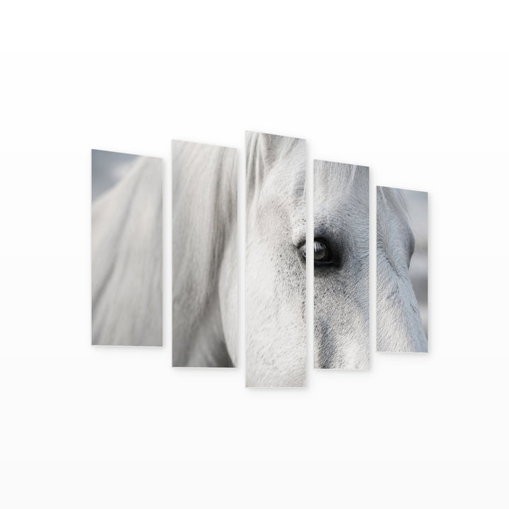 Macro Photo of White Horse with Dreamlike Atmosphere — five-panel wall art on white background in perspective | 5wallart 51987 M1
