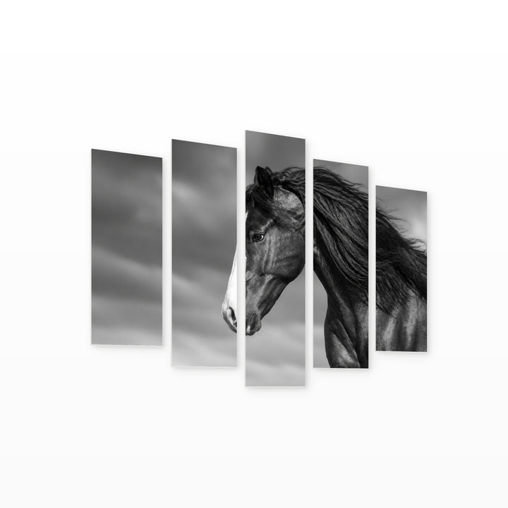 Portrait of a Horse in Serene Light — five-panel wall art on white background in perspective | 5wallart 51989 M1