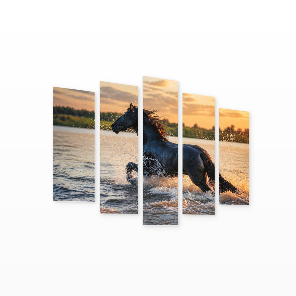 Portrait of a Horse in Water Wildlife Portrait — five-panel wall art on white background in perspective | 5wallart 51995 M1