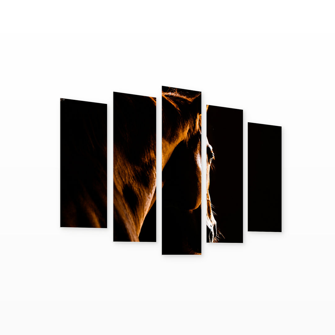 Light Shadow of a Horse in Serene Light — five-panel wall art on white background in perspective | 5wallart 52055 M1
