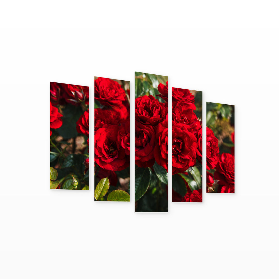 Red Roses Art Study — five-panel wall art on white background in perspective | 5wallart 52110 M1