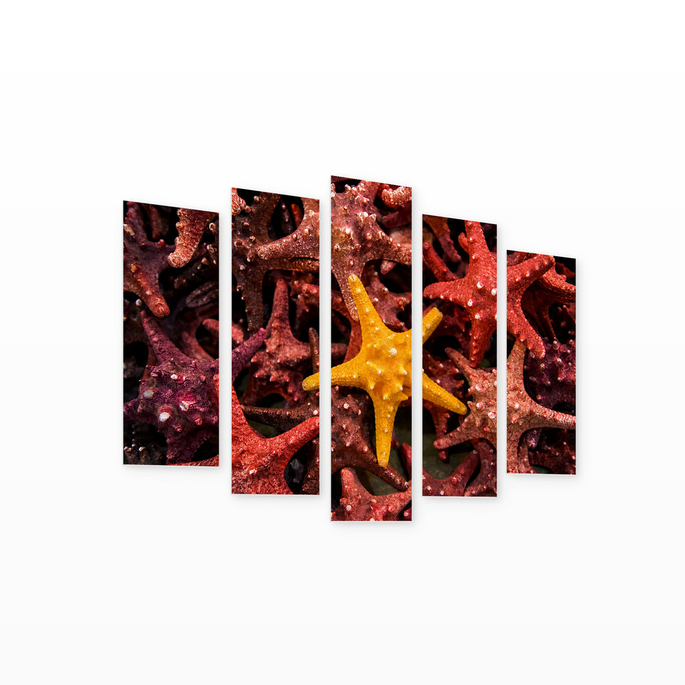 Starfish in Blue and Gold — five-panel wall art on white background in perspective | 5wallart 52166 M1