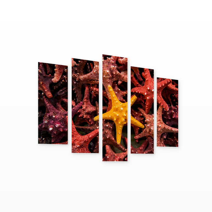Starfish in Blue and Gold — five-panel wall art on white background in perspective | 5wallart 52166 M1