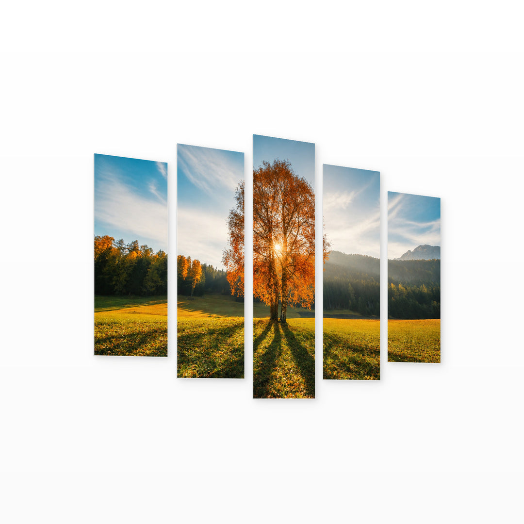 Autumn in Nature in Serene Light — five-panel wall art on white background in perspective | 5wallart 52194 M1