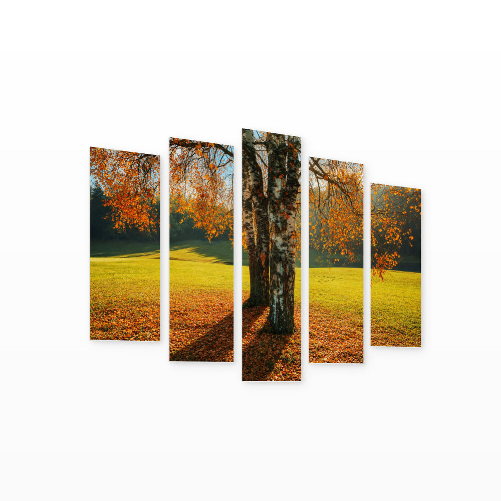 Trees in Autumn in Serene Light — five-panel wall art on white background in perspective | 5wallart 52201 M1