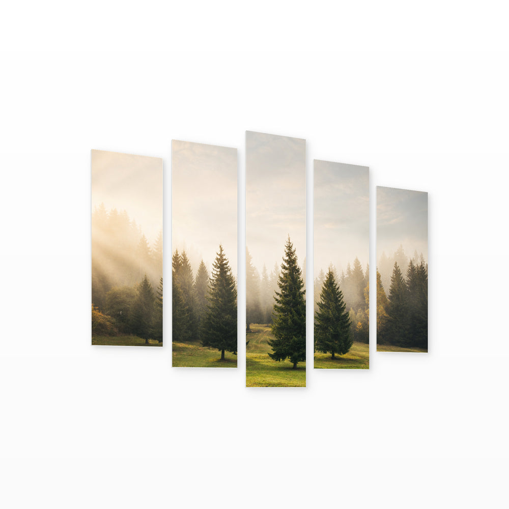 Pine Trees in Serene Light — five-panel wall art on white background in perspective | 5wallart 52215 M1