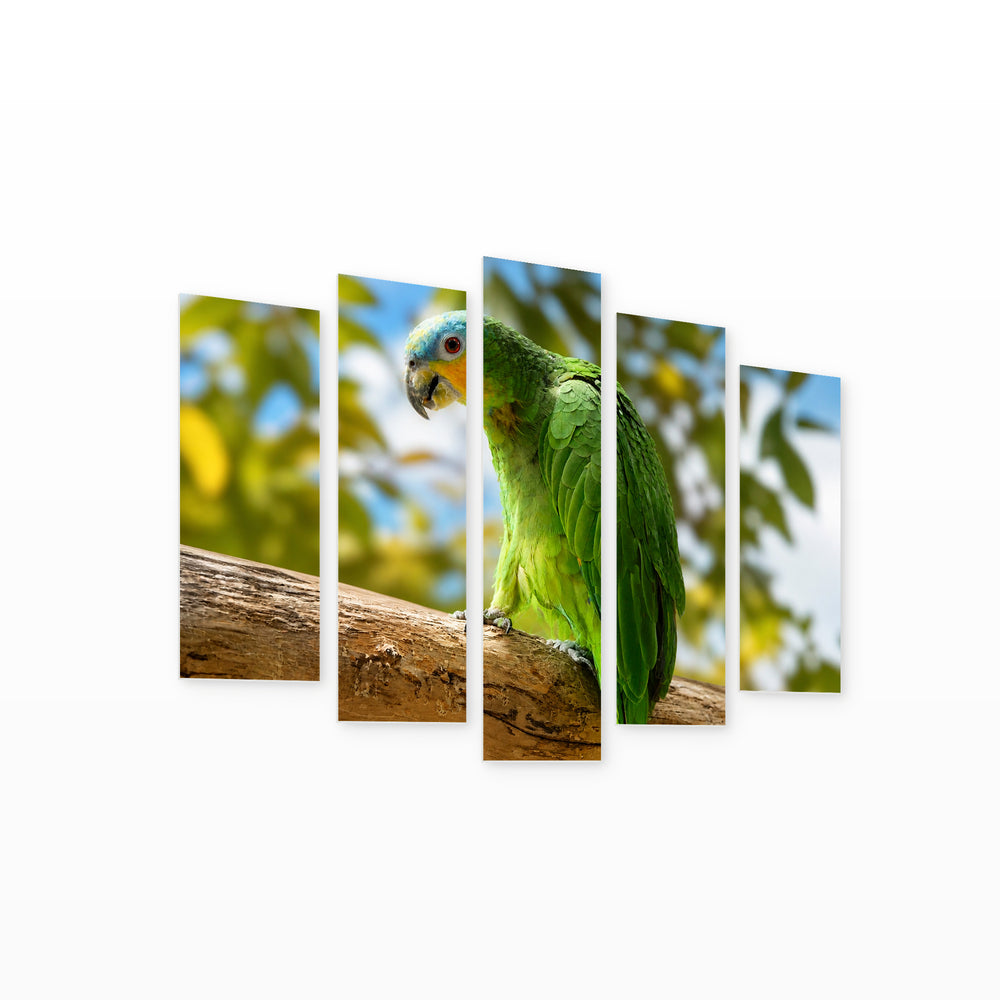Green Parrot with Geometric Rhythm — five-panel wall art on white background in perspective | 5wallart 52721 M1