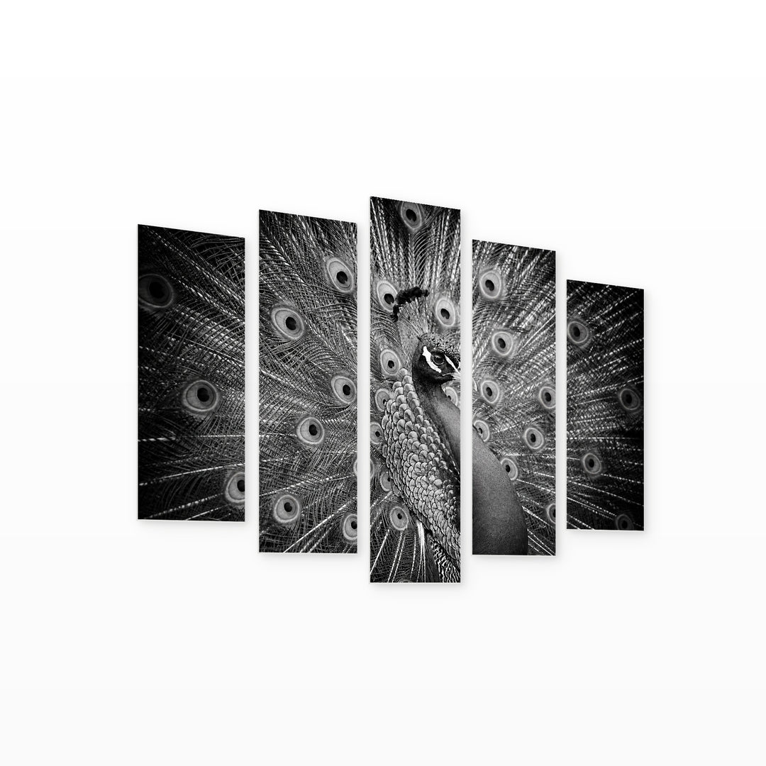 Black and White Peacock with Geometric Rhythm — five-panel wall art on white background in perspective | 5wallart 52736 M1