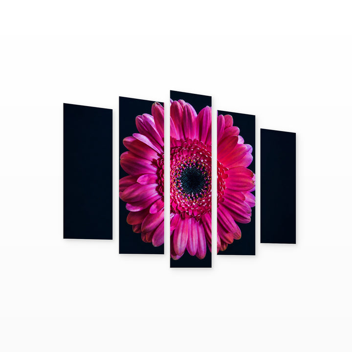 Gerbera Flower in Vivid Color — five-panel wall art on white background in perspective | 5wallart 52760 M1