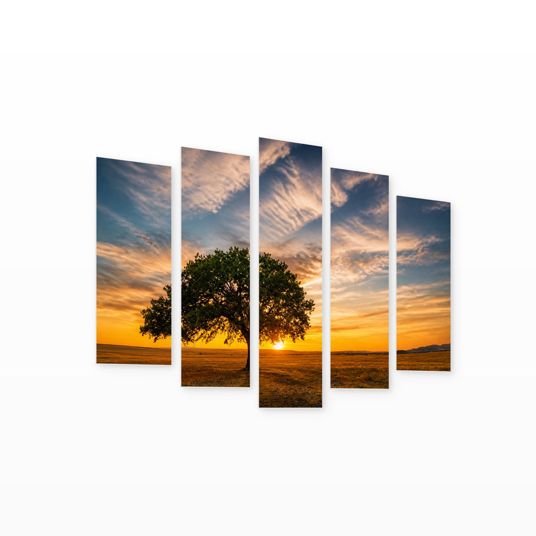 Golden Oak Tree and Beautiful Sunset — five-panel wall art on white background in perspective | 5wallart 52766 M1