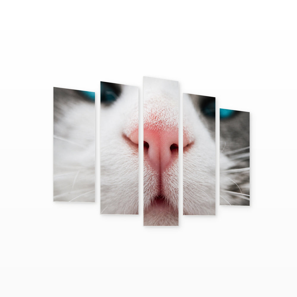 Macro View of a Cat in Serene Light — five-panel wall art on white background in perspective | 5wallart 52873 M1