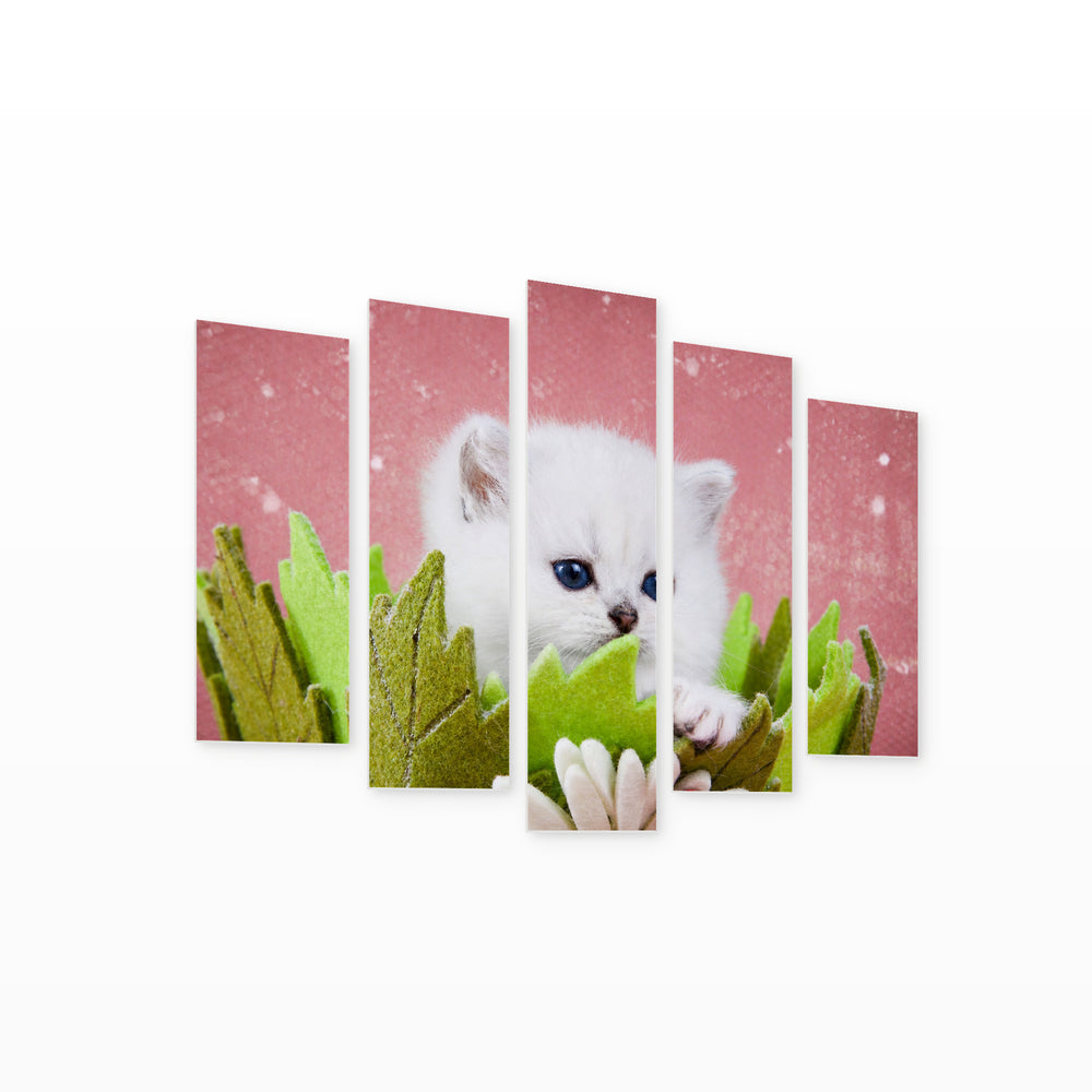 British White Kitten in Winter — five-panel wall art on white background in perspective | 5wallart 52880 M1