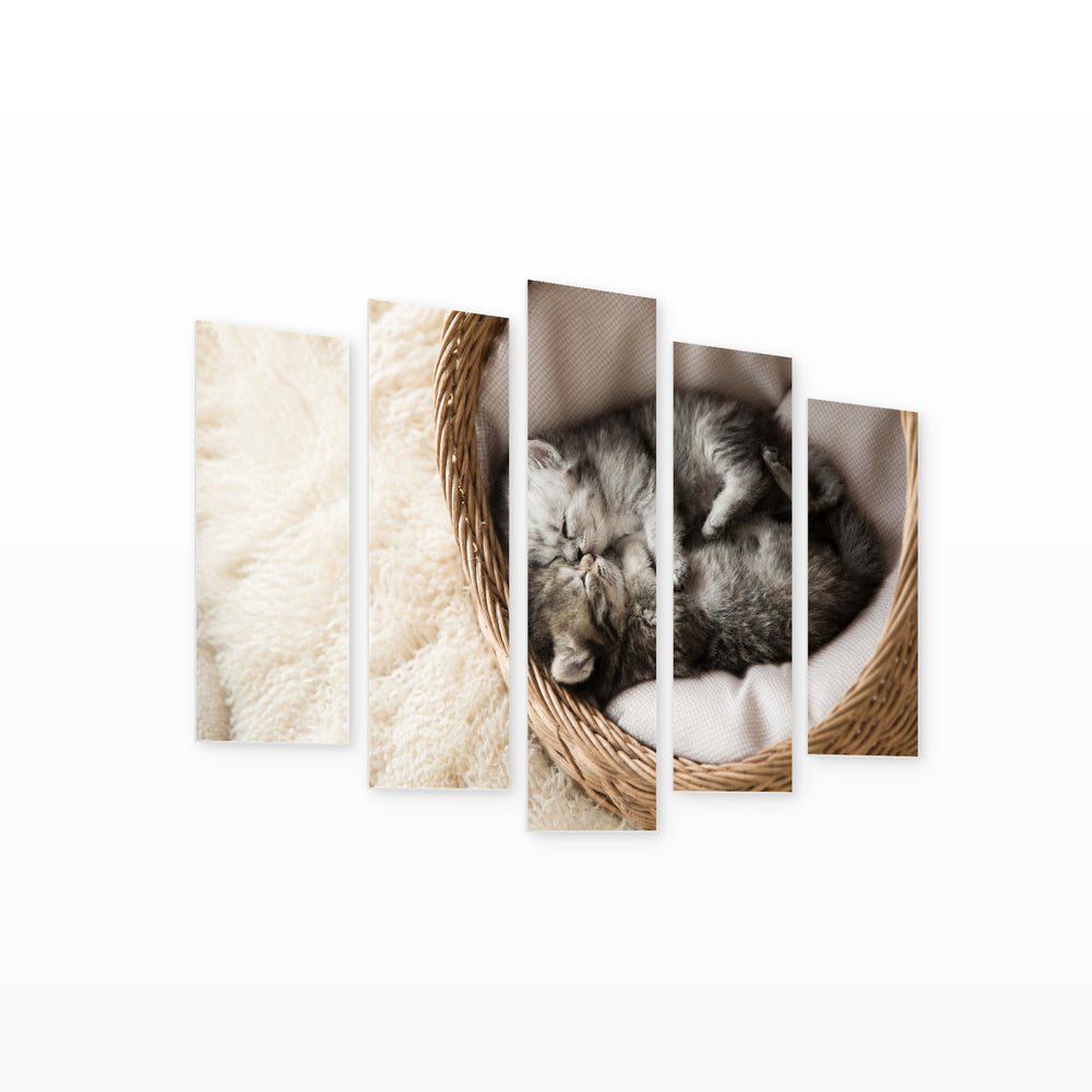 Cute Sleeping Kittens with Dreamlike Atmosphere — five-panel wall art on white background in perspective | 5wallart 52887 M1