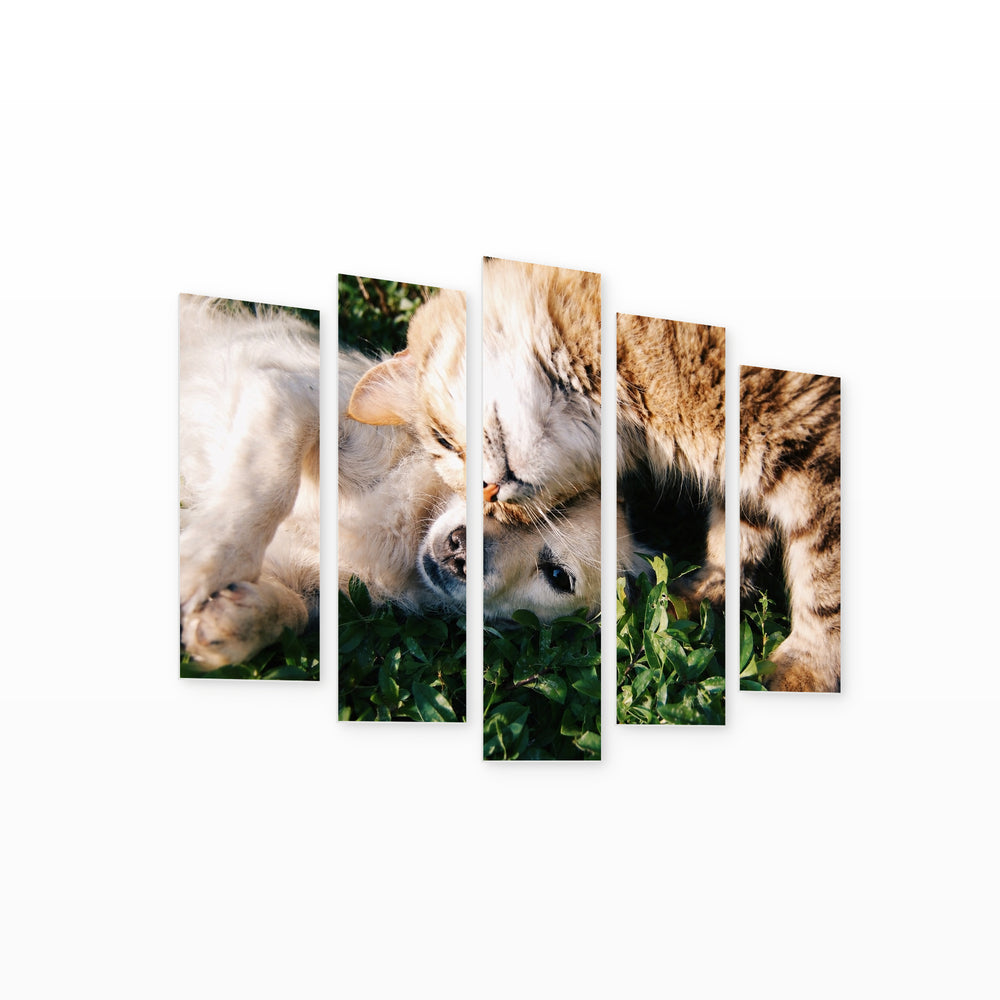 Cat and Dog with Geometric Rhythm — five-panel wall art on white background in perspective | 5wallart 52891 M1