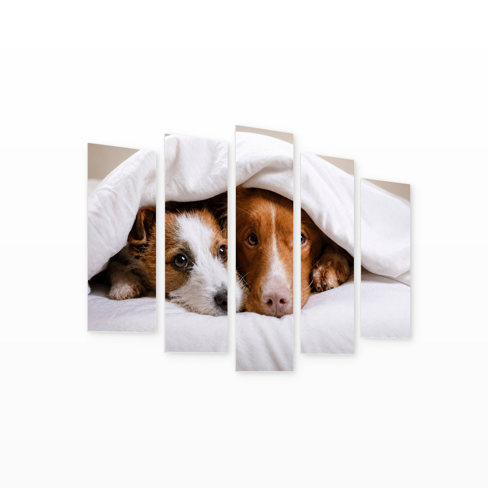 Two Dogs on a Pillow in Serene Light — five-panel wall art on white background in perspective | 5wallart 52910 M1