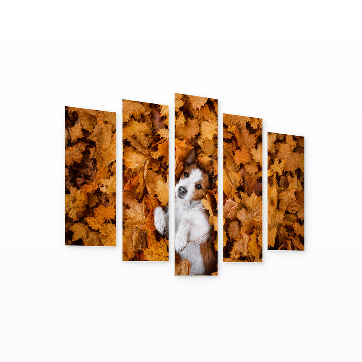 Dog in Autumn Leaves Botanical Study — five-panel wall art on white background in perspective | 5wallart 52915 M1