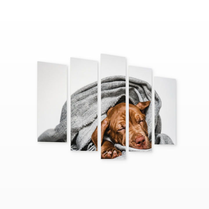 Puppy in a Scarf in Serene Light — five-panel wall art on white background in perspective | 5wallart 52916 M1