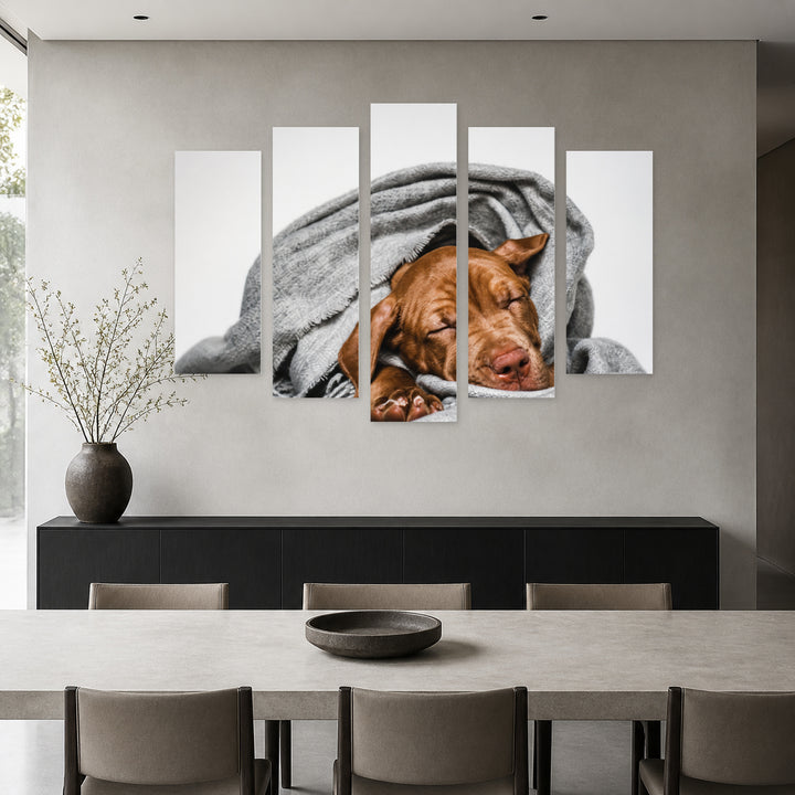 Puppy in a Scarf in Serene Light — five-panel wall art in frontal interior | 5wallart 52916 M3
