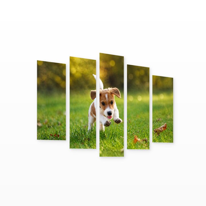 Jack Russell Terrier Wildlife Portrait — five-panel wall art on white background in perspective | 5wallart 52920 M1