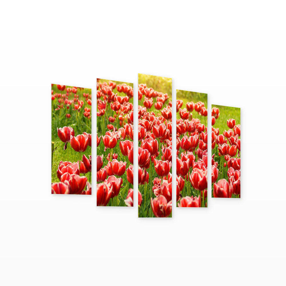 Meadow with Red Tulips in Serene Light — five-panel wall art on white background in perspective | 5wallart 52985 M1