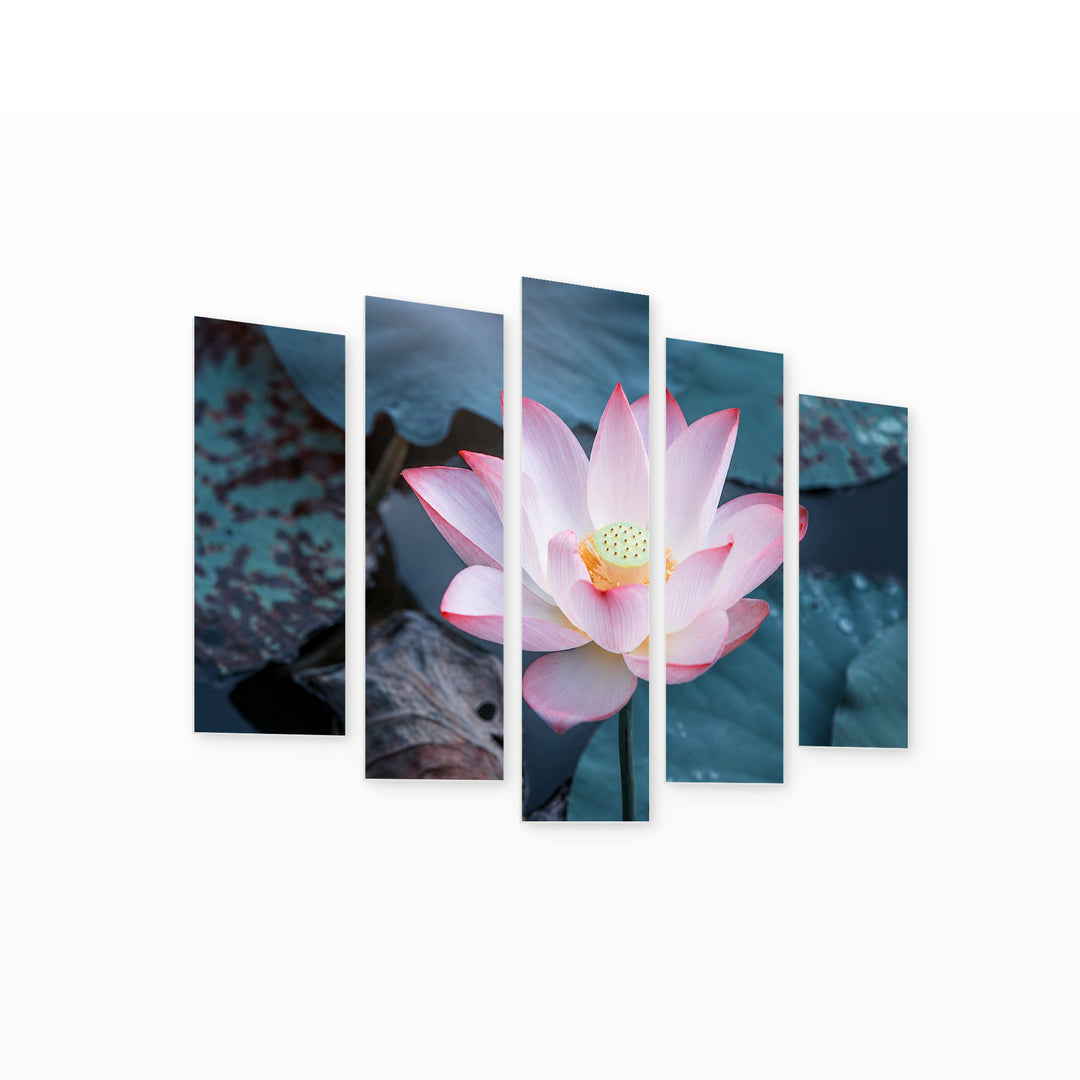 Pink Lotus in Still Water — five-panel wall art on white background in perspective | 5wallart 53124 M1