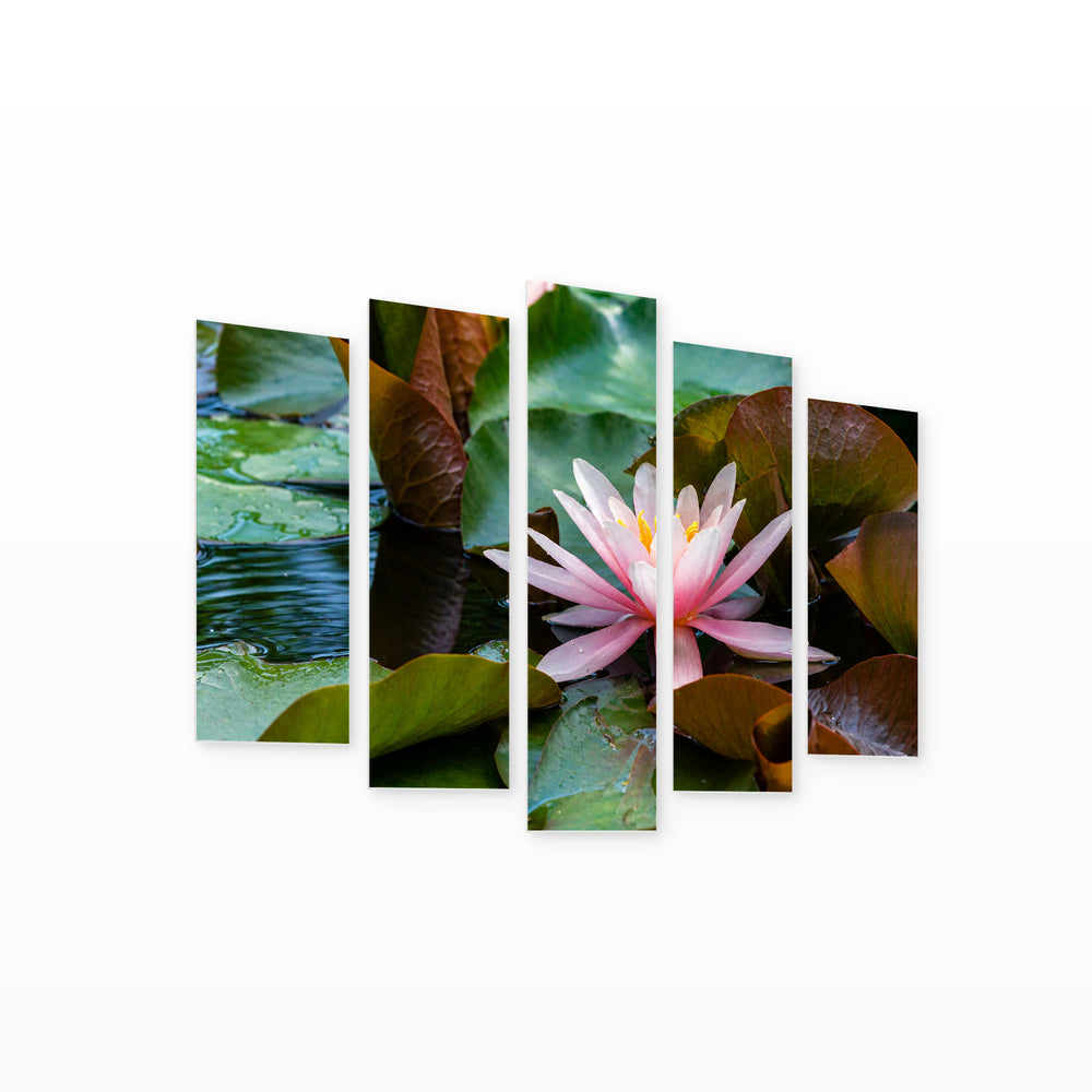 Pink Water Lotus Flower in Serene Light — five-panel wall art on white background in perspective | 5wallart 53131 M1