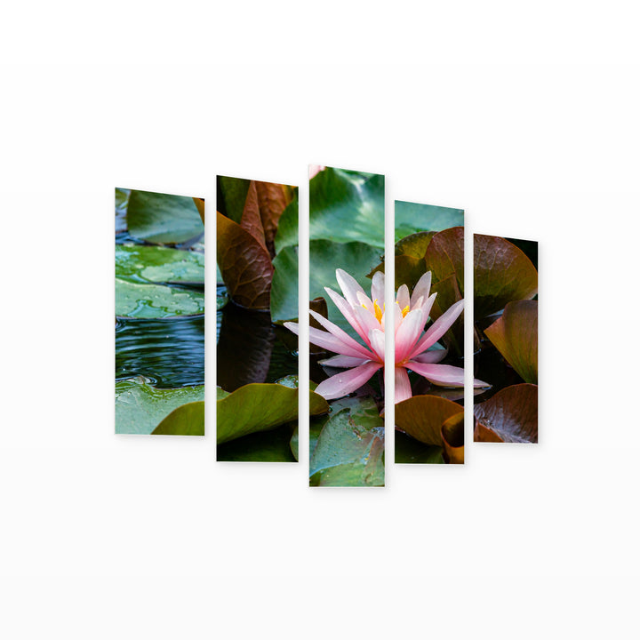 Pink Water Lotus Flower in Serene Light — five-panel wall art on white background in perspective | 5wallart 53131 M1