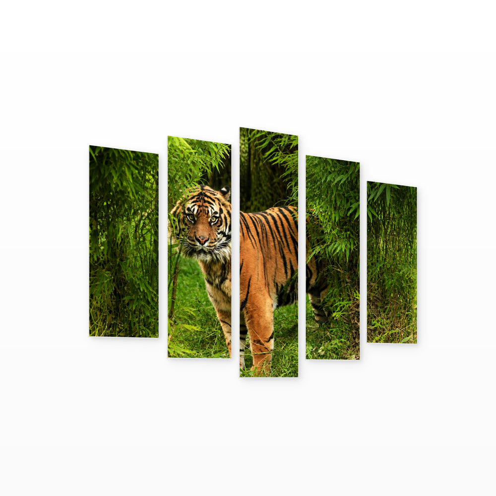 Bengal Tiger in Bamboo — five-panel wall art on white background in perspective | 5wallart 53491 M1