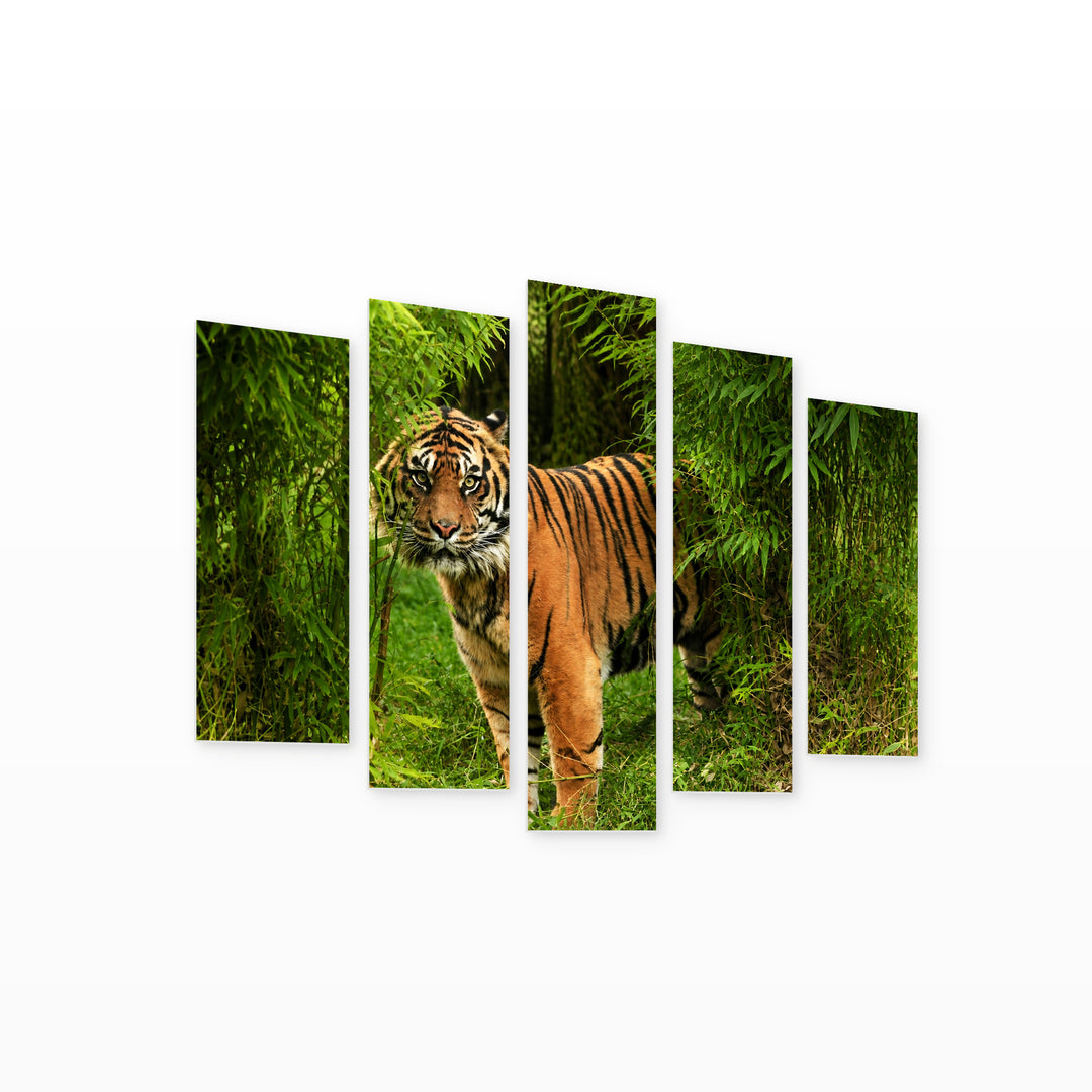Bengal Tiger in Bamboo — five-panel wall art on white background in perspective | 5wallart 53491 M1