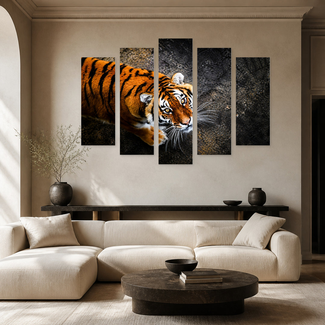 Malayan Tiger with Dramatic Contrast — five-panel wall art in alternate frontal interior | 5wallart 53494 M4