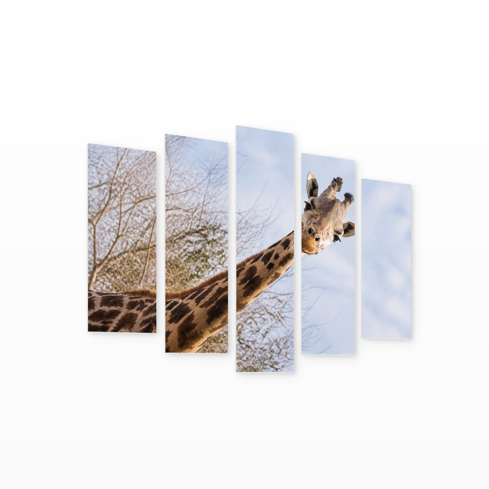 Giraffe Portrait in Serene Light — five-panel wall art on white background in perspective | 5wallart 53527 M1