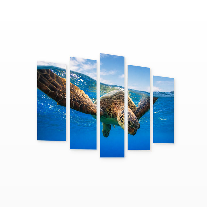 Sea Turtle Portrait in Serene Light — five-panel wall art on white background in perspective | 5wallart 53562 M1