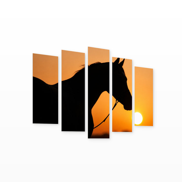 Silhouette of an Arabian Horse in Serene Light — five-panel wall art on white background in perspective | 5wallart 53595 M1