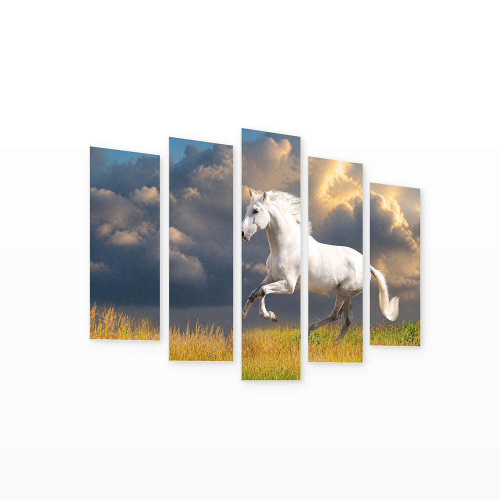 White Andalusian Horse in Serene Light — five-panel wall art on white background in perspective | 5wallart 53597 M1